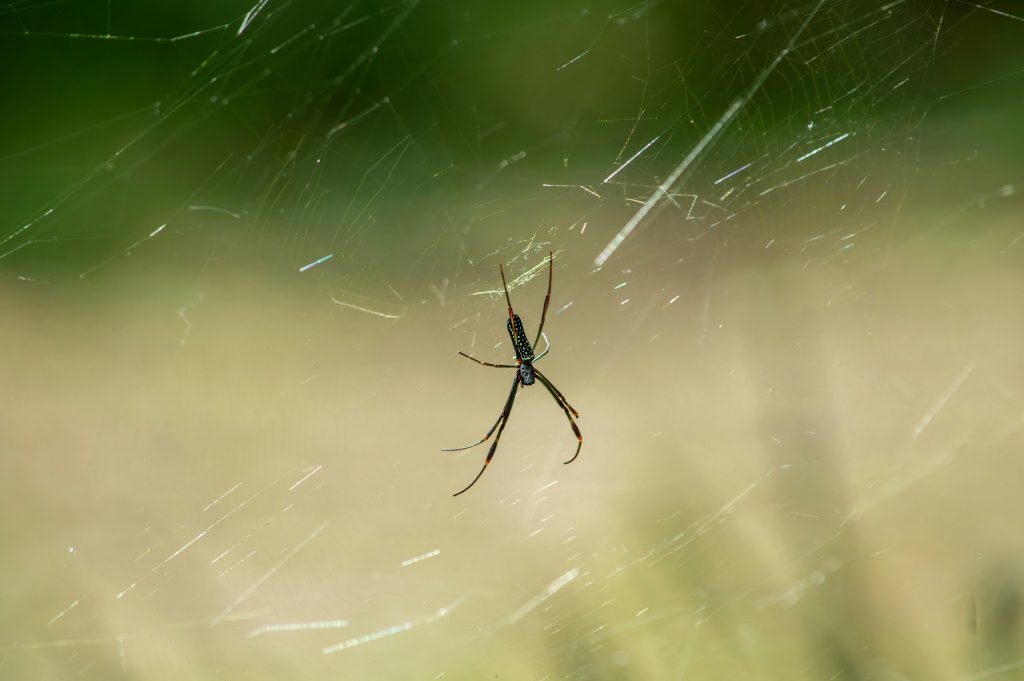 Les 5 pièges de vouloir être un "Bon manager"